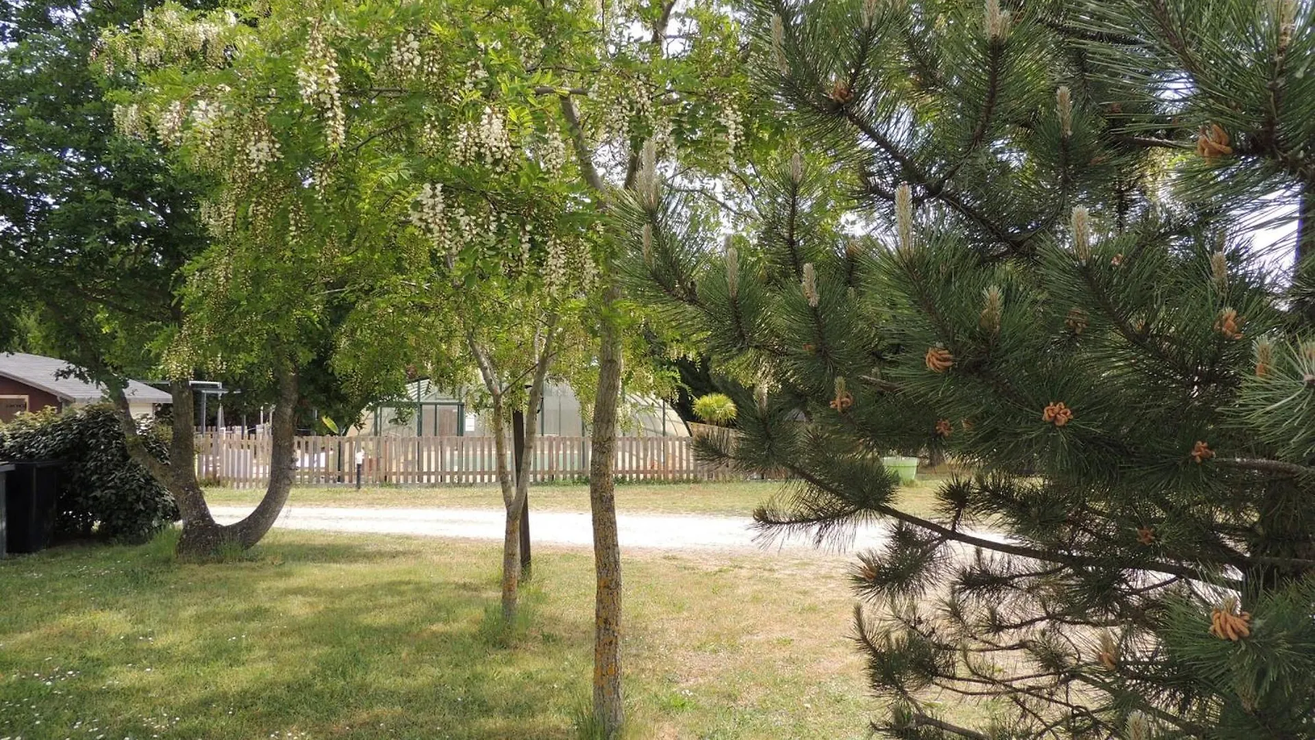 Chalet 4 Personnes Maxi Tout Confort Location En Gite Chazemais