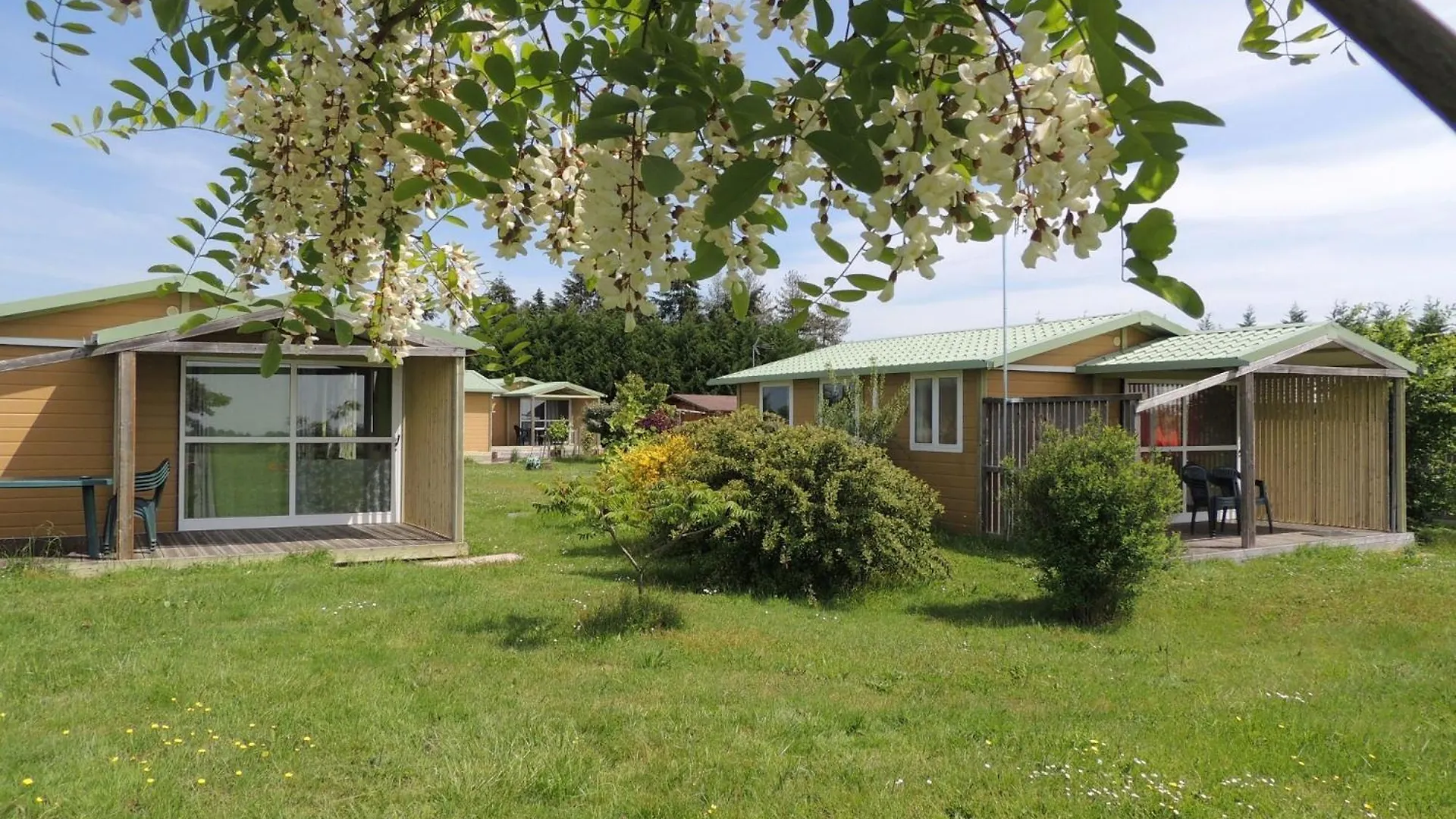 Campsite Chalet 4 Personnes Maxi Tout Confort Location En Gite Chazemais
